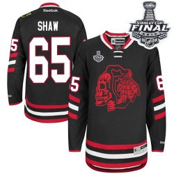 Andrew Shaw Chicago Blackhawks Reebok Premier Red Skull 2014 Stadium Series 2015 Stanley Cup Jersey (Black)