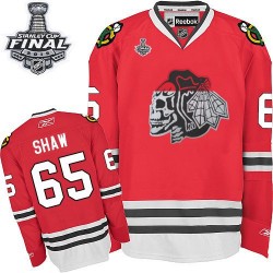 Andrew Shaw Chicago Blackhawks Reebok Premier Red Skull 2015 Stanley Cup Jersey (White)