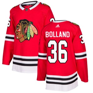 Dave Bolland Chicago Blackhawks Adidas Authentic Home Jersey (Red)