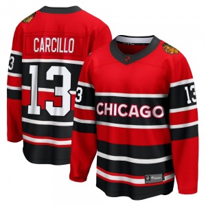 Daniel Carcillo Chicago Blackhawks Fanatics Branded Breakaway Special Edition 2.0 Jersey (Red)