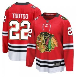 Jordin Tootoo Chicago Blackhawks Fanatics Youth Breakaway Centennial Jersey (Red)