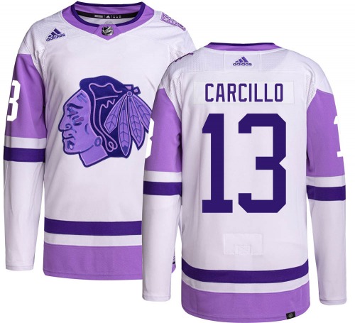 Daniel Carcillo Chicago Blackhawks Adidas Authentic Hockey Fights Cancer Jersey