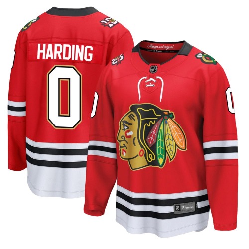 Taige Harding Chicago Blackhawks Fanatics Breakaway Centennial Jersey (Red)